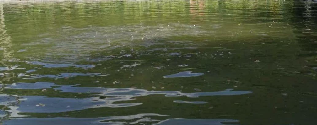 奉法者强则国强，奉法者弱则国弱。习近平总书记强调，任何组织或者个人都必须在宪法和法律范围内活动，任何公民、社会组织和国家机关都要以宪法和法律为行为准则，依照宪法和法律行使权利或权力、履行义务或职责。然推进法治同时必须尊重契约精神，毕竟无论是从现今法津产生还是从法律制定过程来看，法律都和契约有着密切联系。甚至于可以毫不夸张地说：没有契约就没有法律，契约是法律的基础。