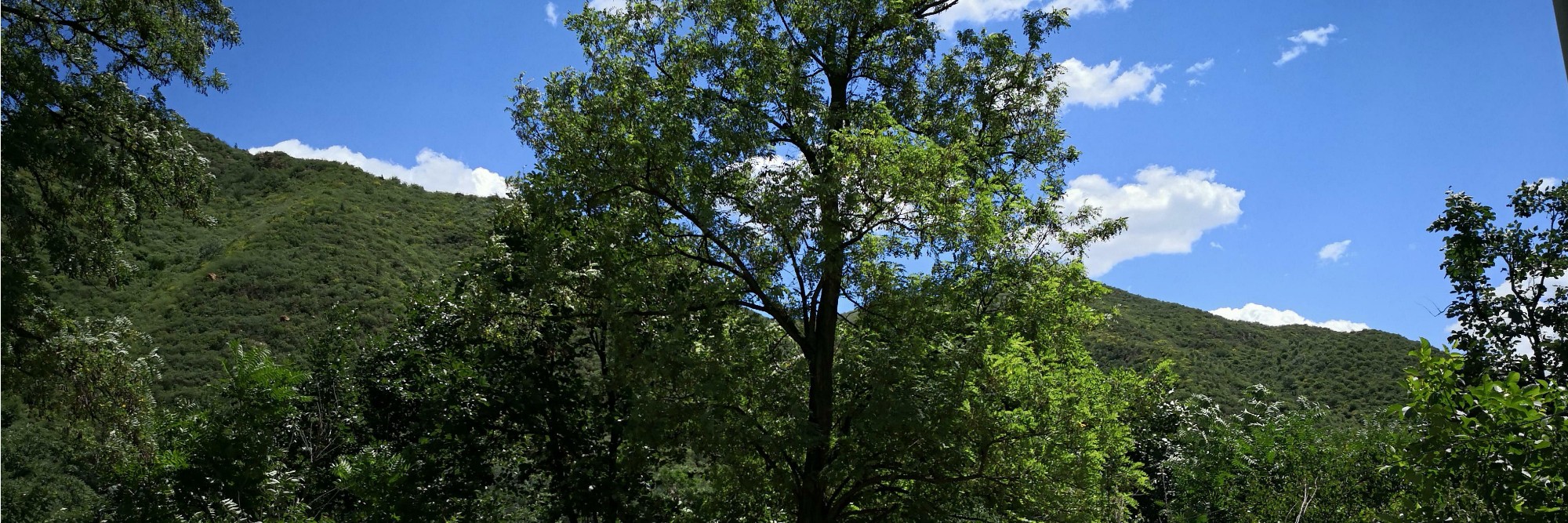 我国岚桥集团更是和澳大利亚以23.05亿人民币租用了达尔文港的使用权，年限长达99年，也就是到2114年，按照国际法规，再多一年，就能取得永久土地权